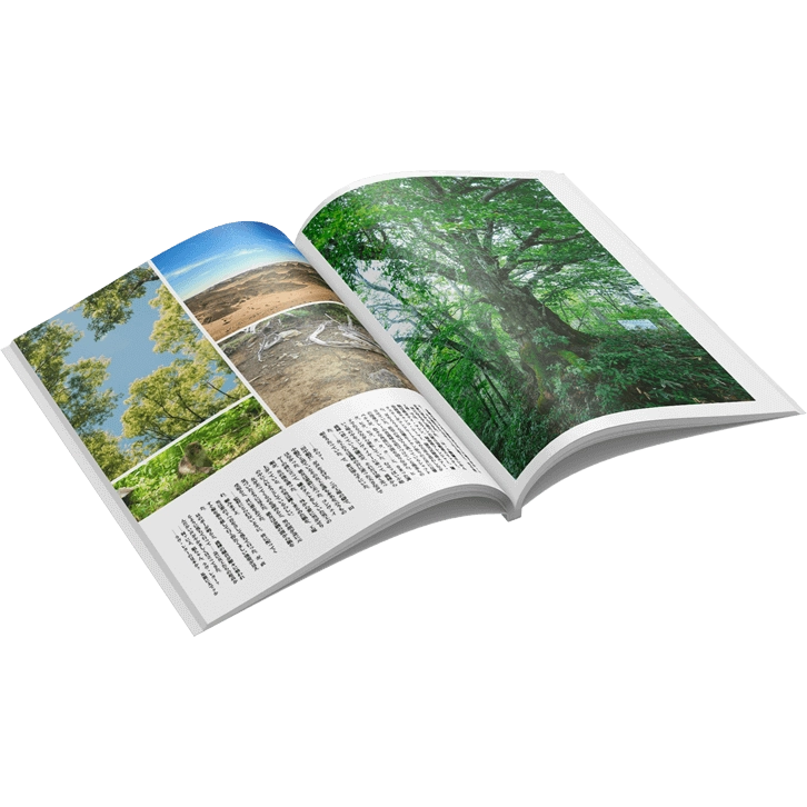 無線綴じ冊子印刷