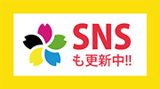 sns